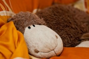 Dolly - unser Schlafschaf